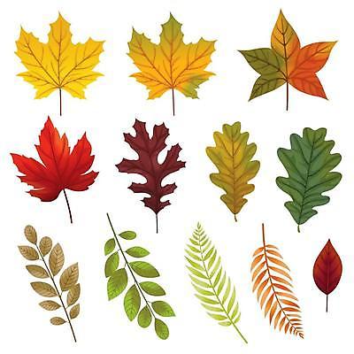 EPS 해외이미지 단풍 낙엽 잎 일러스트 사람없음 세트 추수감사절 해외일러스트 식물 기독교 파일형식 벡터 이미지허브