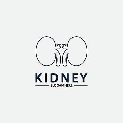 EPS 해외이미지 모양 템플릿 라이프스타일 손 디자인 선 과학 백그라운드 컨셉 신체 일러스트 해부 추상 건강 병원 미술 사람 내부 그래픽 약 의사 흰색 오르간 신장 플랫 질병 심볼 오브젝트 사인 생물학 심플 시스템 정맥 고립 돌봄 엘리먼트 해외일러스트 교육 컬러 무늬 의학 모션 문화예술 생활 신체부위 의료진 건반악기 비뇨기관 혈관 파일형식 벡터 이미지허브