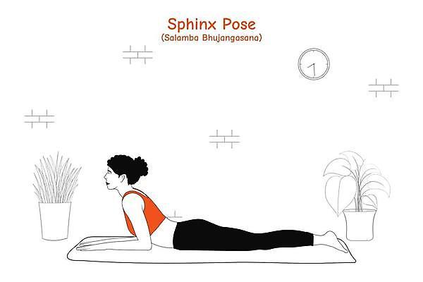 EPS 해외이미지 식물 캐릭터 벽 시계 포즈 일러스트 요가 교실 자연 휴식 건강 운동 플랫 냄비 연습 명상 손그림 스핑크스 스타일 아사나자세 해외일러스트 일러캐릭터 웰빙 교육 컨셉 학교 이집트 요가자세 솥 생태계 파일형식 벡터 이미지허브