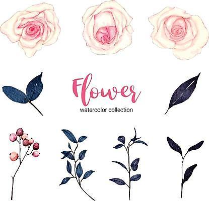 EPS 해외이미지 식물 열매 꽃 잎 일러스트 사람없음 세트 장미 그림 잎줄기 해외일러스트 줄기 파일형식 벡터 이미지허브