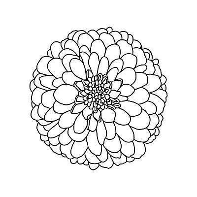 EPS 해외이미지 식물 손 디자인 꽃잎 꽃 선 결혼 꽃무늬 일러스트 포장 자연 벽지 국화 흑백 미술 그래픽 장식 세트 유행 검은색 흰색 직물 인사 신용카드 고급 우아함 인쇄 스케치 수집 문신 그림 윤곽 초대 고립 엘리먼트 포장소품 스타일 해외일러스트 컬러 컨셉 무늬 문화예술 촬영기법 이벤트 신체부위 금융 예절 오브젝트 생태계 포장재료 파일형식 벡터 이미지허브