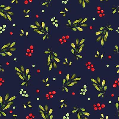 EPS 해외이미지 디자인 열매 백그라운드 잎 일러스트 사람없음 남색 해외일러스트 식물 컬러 파일형식 벡터 이미지허브