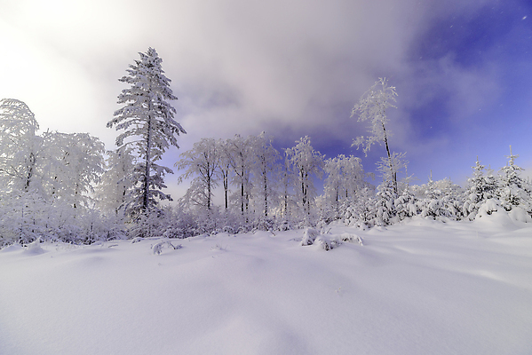 포토 JPG 해외이미지 나무 계절 유럽 여행 백그라운드 크리스마스 겨울 자연 하늘 날씨 휴가 산 사람없음 야외 가로 파란색 뷰티 환경 맑음 냉동 얼음 하이킹 추위 흰색 시골 신선 숲 즐거움 서리 장면 내추럴 눈내림 해외포토 자연요소 식물 기념일 감정 나라 컬러 레저 눈_날씨 생태계 파일형식 이미지허브