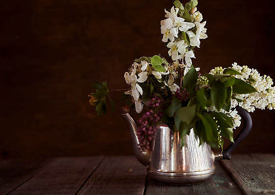 포토 JPG 해외이미지 식물 꽃잎 꽃 행복 커피 꽃다발 꽃무늬 자연 휴식 사랑 씨앗 사람없음 야외 목재 초록색 여름 파란색 뷰티 귀여움 보라색 침묵 봄 펼침 흰색 직물 신선 원형 닫기 몸무게 제비꽃 묘사 부드러움 취급주의 해외포토 도형 나무 계절 감정 음료 컬러 컨셉 무늬 재료 모션 경고 소리 감각 생태계 파일형식 이미지허브