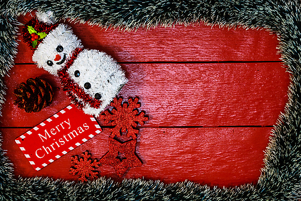 포토 JPG 해외이미지 나무 전통 계절 별 리본 백그라운드 크리스마스장식 크리스마스 겨울 추상 휴가 선물 사람없음 장식 축제 흰색 축하 12월 연도 솔방울 노엘 크리스마스배경 해외포토 자연요소 식물 기념일 컬러 컨셉 무늬 날짜 파일형식 이미지허브