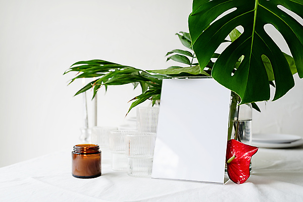 포토 JPG 해외이미지 식물 접시 초 탁자 유리병 사각프레임 프레임 실내 사람없음 아웃포커스 흰배경 메뉴판 몬스테라 안스리움 목업 해외포토 식기 꽃 가구 백그라운드 병_용기 촬영기법 내부 사각형 흰색 파일형식 이미지허브