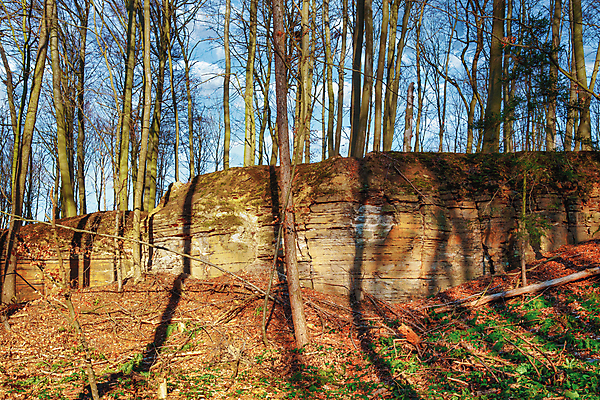 포토 JPG 해외이미지 나무 식물 계절 잎 벤치 자연 아침 날씨 휴가 휴식 그림자 사람없음 야외 목재 초록색 빛 강 햇빛 태양 뷰티 노란색 평화 환경 맑음 침묵 일몰 안개 광선 시골 저녁 숲 뿌리 땅바닥 해외포토 주간 자연요소 컬러 컨셉 의자 재료 바닥 노을 소리 야간 생태계 파일형식 이미지허브