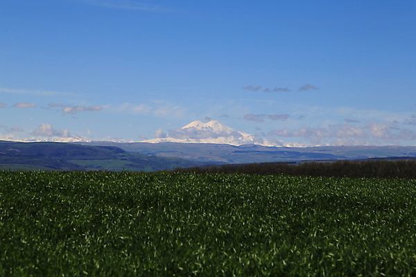 포토 JPG 해외이미지 나무 공원 도로 호수 여행 백그라운드 밭 자연 하늘 휴가 산 파노라마 사람없음 뷰티 골짜기 등산 저수지 고도 생태계 휴양지 지역 암초 내추럴 산악지대 보호구역 웅장함 절정 수평선 해외포토 식물 공공시설 길 농업 교통시설 촬영기법 트래킹 장소 구역 파일형식 이미지허브