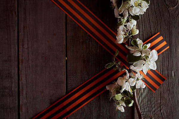 포토 JPG 해외이미지 감정 별 리본 지구 사람없음 빨간색 기쁨 튤립 축하 9 날짜 큼 5월 심볼 전쟁 육군 질서 애국심 소비에트 전국 필승 해외포토 자연요소 꽃 컬러 컨셉 군대 숫자 예절 우승 크기 파일형식 이미지허브