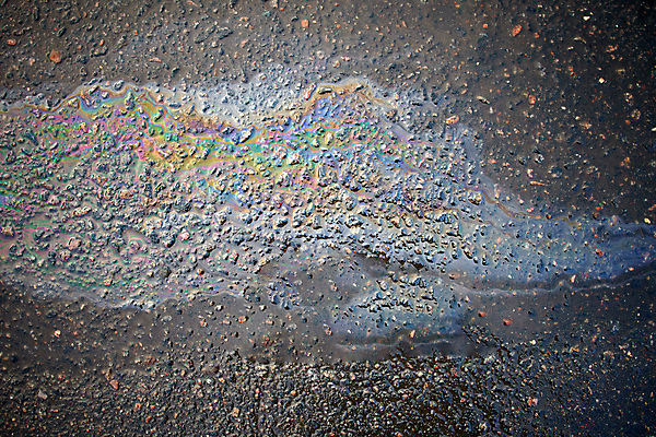 포토 JPG 해외이미지 응시 실루엣 백그라운드 잎 비즈니스 자동차 자연 사람없음 컬러풀 금속 소용돌이 흰색 얼룩 원형 고속도로 환경오염 붓기 쓰레기 파편 오솔길 홍수 사건 정사각형 문제 엔진 헝가리 멀티 스펙트럼 얇은 옛날 위기 해외포토 도형 식물 시선 도로 길 육상교통 컬러 컨셉 모션 재질 촬영기법 회오리 자연재해 생태계 동유럽 파일형식 이미지허브