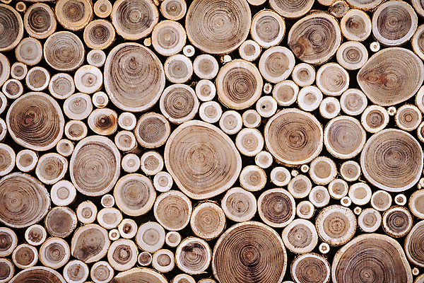 포토 JPG 해외이미지 모양 나무 조각 백그라운드 꽃무늬 패턴 부분 자연 추상 건조 사람없음 목재 농작물 갈색 성장 반지 원형 숲 자르기 연도 묘사 질감 통나무 다리찢기 내추럴 수목 옛날 해외포토 도형 식물 꽃 컬러 무늬 농업 재료 장신구 모션 생태계 파일형식 이미지허브