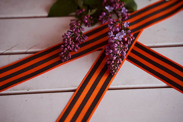 포토 JPG 해외이미지 감정 별 리본 지구 사람없음 빨간색 기쁨 튤립 축하 9 날짜 큼 5월 심볼 전쟁 육군 질서 애국심 소비에트 전국 필승 해외포토 자연요소 꽃 컬러 컨셉 군대 숫자 예절 우승 크기 파일형식 이미지허브