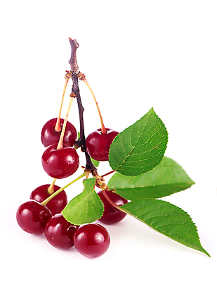 포토 JPG 해외이미지 잎 사람없음 빨간색 신선 체리 달콤 해외포토 식물 컬러 과일 맛 파일형식 이미지허브