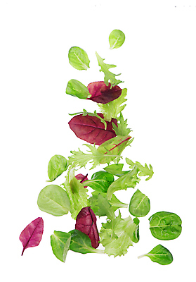 포토 JPG 해외이미지 잎 채소 사람없음 초록색 상추 루꼴라 섞기 해외포토 식물 컬러 파일형식 이미지허브