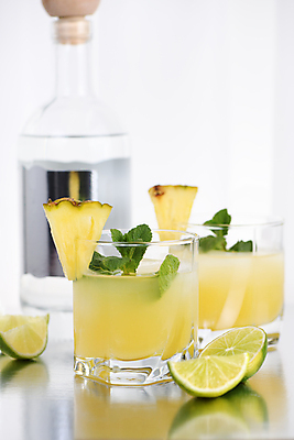 포토 JPG 해외이미지 잔 사람없음 칵테일 과실주 민트 파인애플 라임 브랜디 해외포토 식기 과일 주류 허브 열대과일 파일형식 이미지허브