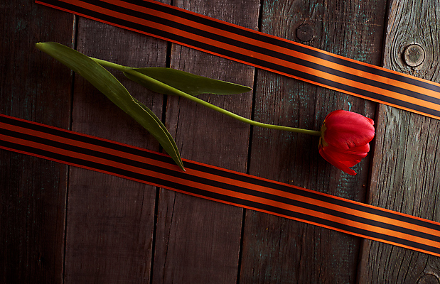 포토 JPG 해외이미지 감정 별 리본 지구 사람없음 빨간색 기쁨 튤립 축하 9 날짜 큼 5월 심볼 전쟁 육군 질서 애국심 소비에트 전국 필승 해외포토 자연요소 꽃 컬러 컨셉 군대 숫자 예절 우승 크기 파일형식 이미지허브