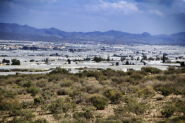 포토 JPG 해외이미지 식물 유럽 산업 음식 백그라운드 농업 토마토 채소 안테나 사람없음 야외 가로 농장 농경지 수확 성장 흰색 시골 스페인 상품 플라스틱 과수원 지중해 원예 상업 밭일 스페인어 안달루시아 온실 해외포토 나라 바다 컬러 통신 재질 취미 파일형식 이미지허브