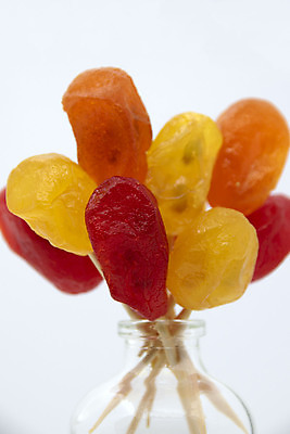 포토 JPG 해외이미지 식물 음식 백그라운드 다이어트 오렌지 과일 디저트 건조 건강 사탕 사람없음 그래픽 빨간색 여름 노란색 달콤 그림 유기농 아로마 내추럴 숙성 식용 이국적 채식주의자 해외포토 웰빙 계절 컬러 맛 채식 파일형식 이미지허브