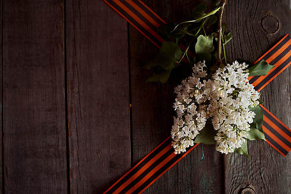 포토 JPG 해외이미지 감정 별 리본 지구 사람없음 빨간색 기쁨 튤립 축하 9 날짜 큼 5월 심볼 전쟁 육군 질서 애국심 소비에트 전국 필승 해외포토 자연요소 꽃 컬러 컨셉 군대 숫자 예절 우승 크기 파일형식 이미지허브