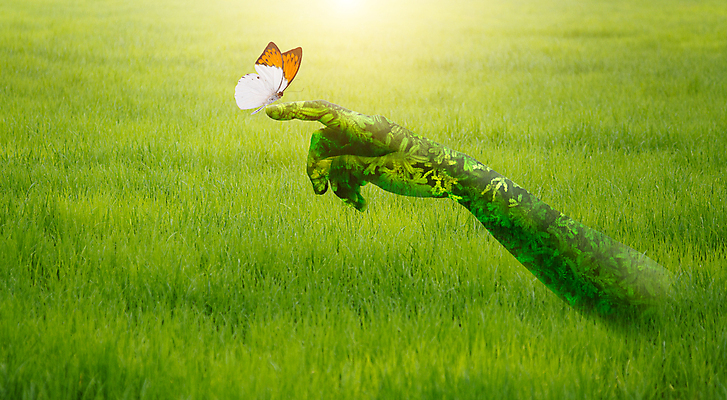 포토 JPG 해외이미지 식물 손 나비 곤충 백그라운드 컨셉 잎 밭 농업 날개 오렌지 손가락 자연 휴식 건강 관리 사랑 잔디 사람없음 야외 초록색 여름 세계 글로벌 햇빛 태양 뷰티 농장 평화 환경 정원 화목 봄 터치 자유 신선 잡기 변화 에코 무료 생태학 해외포토 자연요소 동물 계절 교육 감정 산업 컬러 과일 모션 신체부위 생태계 파일형식 이미지허브