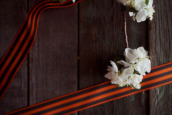 포토 JPG 해외이미지 감정 별 리본 지구 사람없음 빨간색 기쁨 튤립 축하 9 날짜 큼 5월 심볼 전쟁 육군 질서 애국심 소비에트 전국 필승 해외포토 자연요소 꽃 컬러 컨셉 군대 숫자 예절 우승 크기 파일형식 이미지허브