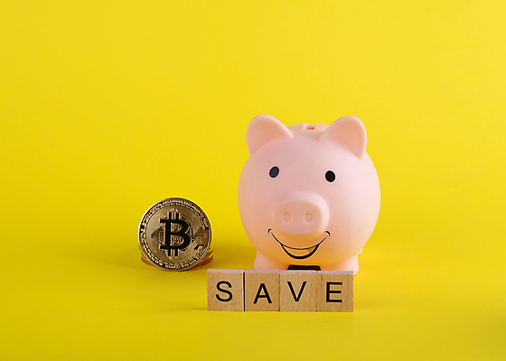 포토 JPG 해외이미지 영어 실내 웃음 사람없음 금융 경제 저축 돼지저금통 금화 노란배경 나무블록 가상화폐 해외포토 문자 백그라운드 돈 표정 내부 목재 노란색 블록 저금통 황금 파일형식 이미지허브