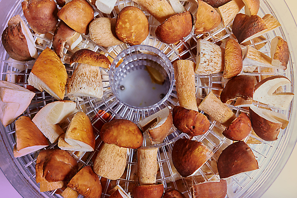 포토 JPG 해외이미지 식물 계절 음식 백그라운드 채소 재료 부분 자연 생물 건조 건강 육류 요리 사람없음 목재 갈색 노란색 식사 버섯 흰색 닫기 보호 큼 드라이어 자르기 먹기 유기농 슬라이스 내추럴 곰팡이 그물버섯 식용 영양분 채식주의자 캡모자 해외포토 나무 모자_잡화 웰빙 컬러 컨셉 식재료 모션 미용용품 크기 생태계 채식 파일형식 이미지허브