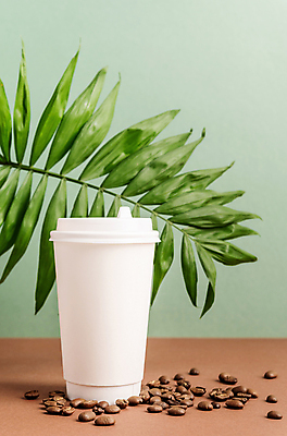 포토 JPG 해외이미지 실내 사람없음 재활용 원두 일회용 에코 친환경 에코라이프 열대잎 테이크아웃컵 포장용기 초록배경 해외포토 라이프스타일 커피 백그라운드 잎 내부 컵 초록색 환경 포장재료 파일형식 이미지허브