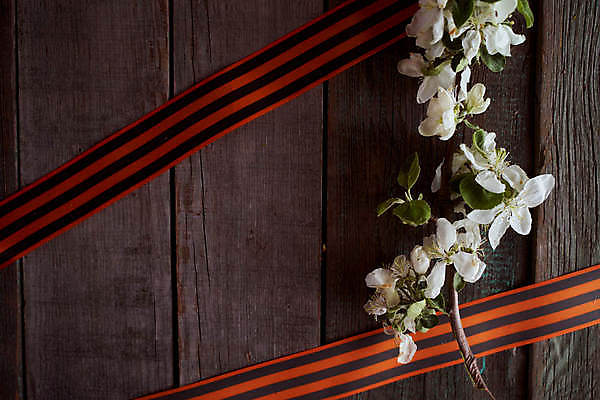 포토 JPG 해외이미지 감정 별 리본 지구 사람없음 빨간색 기쁨 튤립 축하 9 날짜 큼 5월 심볼 전쟁 육군 질서 애국심 소비에트 전국 필승 해외포토 자연요소 꽃 컬러 컨셉 군대 숫자 예절 우승 크기 파일형식 이미지허브