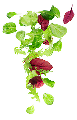 포토 JPG 해외이미지 잎 사람없음 샐러드 신선 상추 해외포토 식물 음식 채소 파일형식 이미지허브