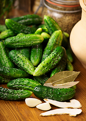 포토 JPG 해외이미지 채소 오이 마늘 사람없음 초록색 향신료 오이피클 월계수 해외포토 컬러 피클 향미료 파일형식 이미지허브