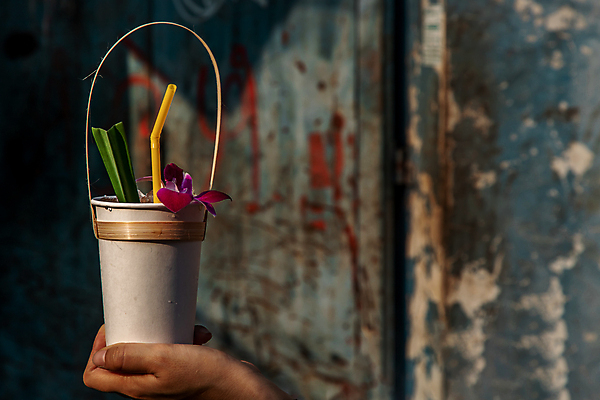 포토 JPG 해외이미지 식물 라이프스타일 손 꽃 음료 백그라운드 컨셉 잎 꽃무늬 자연 주택 건강 사람없음 초록색 물 파란색 컬러풀 노란색 주스 봄 흰색 신선 칵테일 난초 소프트포커스 작음 허브 유기농 아로마 내추럴 핸드메이드 해외포토 자연요소 웰빙 계절 컬러 무늬 주류 촬영기법 건물 생활 신체부위 크기 생태계 파일형식 이미지허브