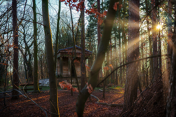 포토 JPG 해외이미지 나무 식물 계절 잎 벤치 자연 아침 날씨 휴가 휴식 그림자 사람없음 야외 목재 초록색 물 빛 강 햇빛 태양 뷰티 노란색 평화 환경 맑음 침묵 일몰 안개 광선 시골 저녁 숲 뿌리 땅바닥 해외포토 주간 자연요소 컬러 컨셉 의자 재료 바닥 노을 소리 야간 생태계 파일형식 이미지허브