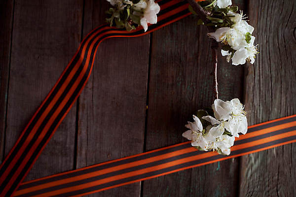 포토 JPG 해외이미지 감정 별 리본 지구 사람없음 빨간색 기쁨 튤립 축하 9 날짜 큼 5월 심볼 전쟁 육군 질서 애국심 소비에트 전국 필승 해외포토 자연요소 꽃 컬러 컨셉 군대 숫자 예절 우승 크기 파일형식 이미지허브