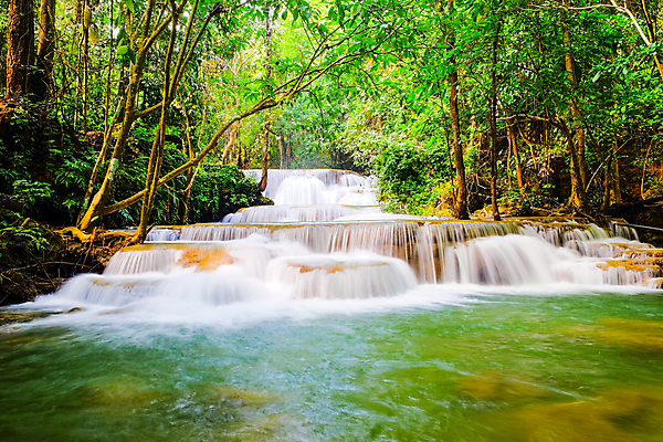 포토 JPG 해외이미지 나무 식물 계절 공원 호수 여행 백그라운드 잎 겨울 태국 자연 휴식 사람없음 야외 목재 초록색 물 강 봄 폭포 흐름 신선 숲 시원함 댐 즐거움 상쾌 내추럴 전국 파라다이스 해외포토 자연요소 공공시설 감정 아시아 컬러 컨셉 재료 생태계 파일형식 이미지허브