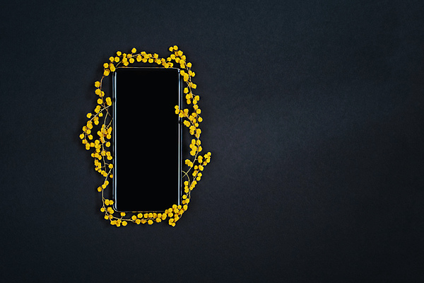 포토 JPG 해외이미지 식물 디자인 꽃 종이 백그라운드 컨셉 꽃무늬 탁자 모바일 프레임 세포 선물 사람없음 스마트폰 핸드폰 노란색 우주 디지털 스크린 검은색 봄 공백 터치 플랫 우아함 정상 매끈함 연결 배열 스마트 오브젝트 질감 전자 위치 소통 터치스크린 목업 셀룰러 해외포토 계절 컬러 가구 무늬 전자제품 스마트기기 감각 파일형식 이미지허브