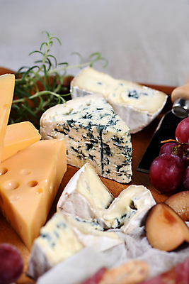 포토 JPG 해외이미지 실내 근접촬영 사람없음 아웃포커스 소프트포커스 안주 블루치즈 까망베르치즈 와인플래터 해외포토 뷰포인트 치즈 촬영기법 내부 파일형식 이미지허브