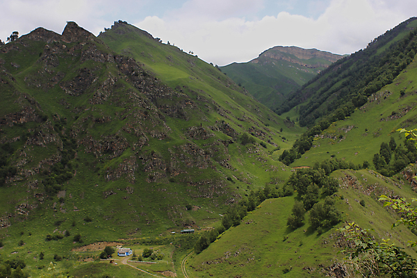 포토 JPG 해외이미지 나무 구름 여행 자연 하늘 산 사람없음 골짜기 숲 오르막 해외포토 자연요소 식물 생태계 파일형식 이미지허브