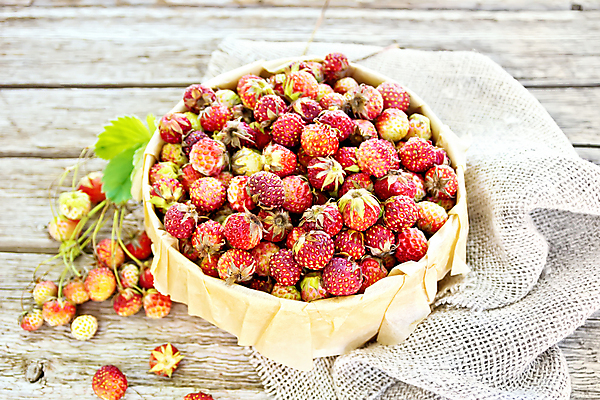 포토 JPG 해외이미지 열매 종이 줄기 백그라운드 잎 밭 다이어트 과일 자연 딸기 디저트 실내 건강 씨앗 사람없음 목재 가로 빨간색 초록색 상자 쌓기 신선 사발 달콤 맛 삼베 가득함 날것 내추럴 숙성 양피지 많음 해외포토 나무 식물 음식 컬러 컨셉 농업 재료 모션 내부 사기그릇 생태계 파일형식 천_직물 이미지허브