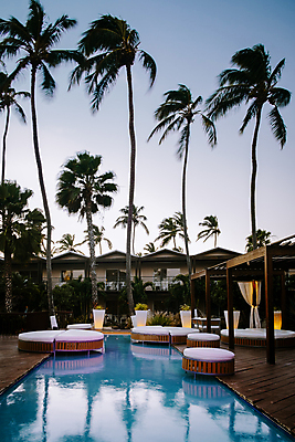 포토 JPG 해외이미지 하늘 호텔 리조트 야외수영장 사람없음 야외 건물 바캉스 야자수 야간 휴양지 하와이 호캉스 해외포토 자연요소 나무 건축물 숙소 휴가 수영장 미국 장소 파일형식 이미지허브
