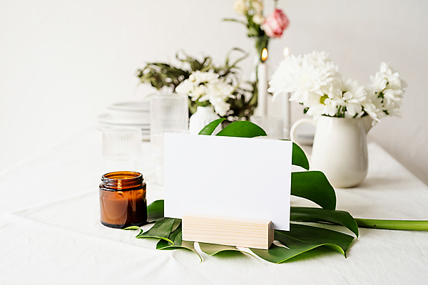 포토 JPG 해외이미지 접시 꽃 초 잔 사각프레임 프레임 실내 사람없음 아웃포커스 꽃병 흰배경 메뉴판 몬스테라 목업 해외포토 식물 식기 백그라운드 촬영기법 내부 사각형 흰색 파일형식 이미지허브