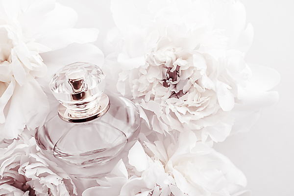 포토 JPG 해외이미지 실내 사람없음 뷰티 화장품 향수 흰배경 모란 향수병 브랜딩 세련 해외포토 꽃 백그라운드 내부 흰색 병_담는 파일형식 이미지허브