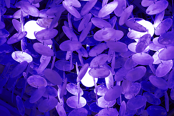 포토 JPG 해외이미지 디자인 음식 벽 백그라운드 컨셉 곡선 부분 유리 추상 바닥 실내 그림자 사람없음 내부 장식 파란색 빛 뷰티 어둠 수확 램프 화려 클래식 고급 우아함 선택 파편 크리스탈 묘사 복고 보케 샹들리에 다이아몬드 블러 옛날 스타일 해외포토 선 컬러 무늬 농업 재질 조명 광석 보석 파일형식 이미지허브