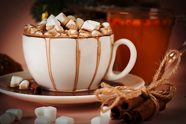 포토 JPG 해외이미지 실내 따뜻함 사람없음 머그컵 달콤 컵받침 감성 코코아 흘림 비네팅 마시멜로우 시나몬스틱 분홍색배경 해외포토 음료 분홍색 백그라운드 컨셉 모션 디저트 촬영기법 내부 컵 맛 받침대 시나몬 파일형식 이미지허브