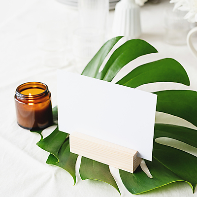 포토 JPG 해외이미지 초 잔 사각프레임 프레임 실내 사람없음 아웃포커스 흰배경 메뉴판 몬스테라 목업 해외포토 식물 식기 백그라운드 촬영기법 내부 사각형 흰색 파일형식 이미지허브