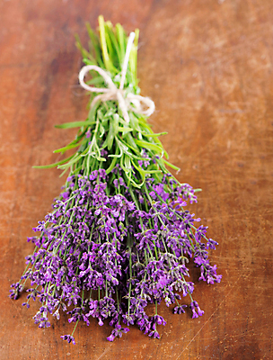 포토 JPG 해외이미지 꽃 꽃다발 실내 사람없음 다발 라벤더 해외포토 식물 내부 허브 파일형식 이미지허브