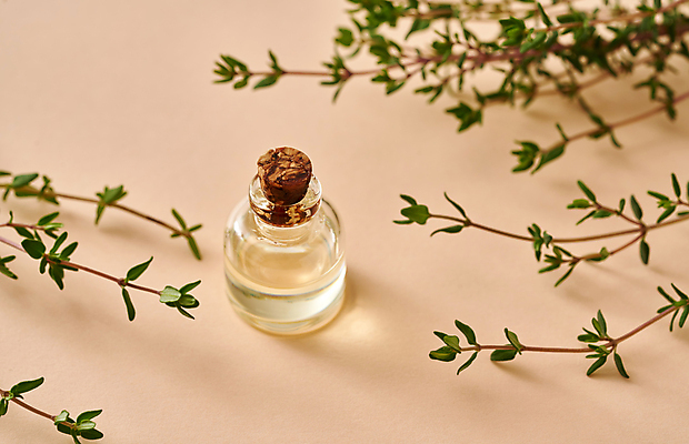 포토 JPG 해외이미지 유리병 실내 사람없음 뷰티 오일 아로마테라피 백리향 에센스 아로마오일 코랄배경 해외포토 음식 백그라운드 병_용기 내부 화장품 오일_화장품 테라피 파일형식 코랄 이미지허브