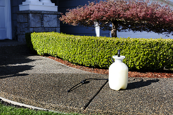 포토 JPG 해외이미지 나무 식물 산업 농업 자연 주택 잔디 사람없음 치료 초록색 환경 정원 봄 장비 해충 보호 질병 관목 유기농 분무기 유지 농약 돌봄 제어 화학물질 해외포토 웰빙 계절 컬러 컨셉 의학 모션 건물 화학 벌레 생태계 파일형식 이미지허브