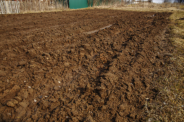 포토 JPG 해외이미지 식물 계절 패턴 밭 농업 자연 감자 사람없음 야외 농장 농경지 경작 흙 봄 성장 시골 업무 만취 준비 유기농 먼지 장면 땅바닥 쟁기 파종 해외포토 웰빙 산업 무늬 채소 바닥 농사 작업 생태계 술취함 파일형식 이미지허브