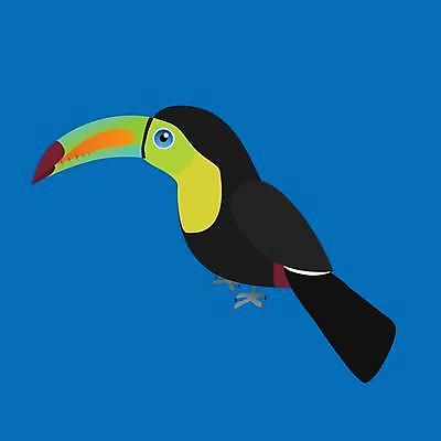 EPS 해외이미지 동물 캐릭터 야생동물 백그라운드 오렌지 일러스트 자연 조류 동물원 미술 파란색 컬러풀 노란색 검은색 흰색 열대우림 만화 깃털 부리 브라질 계산서 고립 동물상 이국적 해외일러스트 일러캐릭터 컬러 과일 문화예술 조형물 남아메리카 숲 생태계 파일형식 벡터 이미지허브